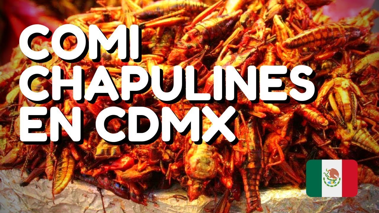Probando chapulines en Ciudad de México: una experiencia tradicional