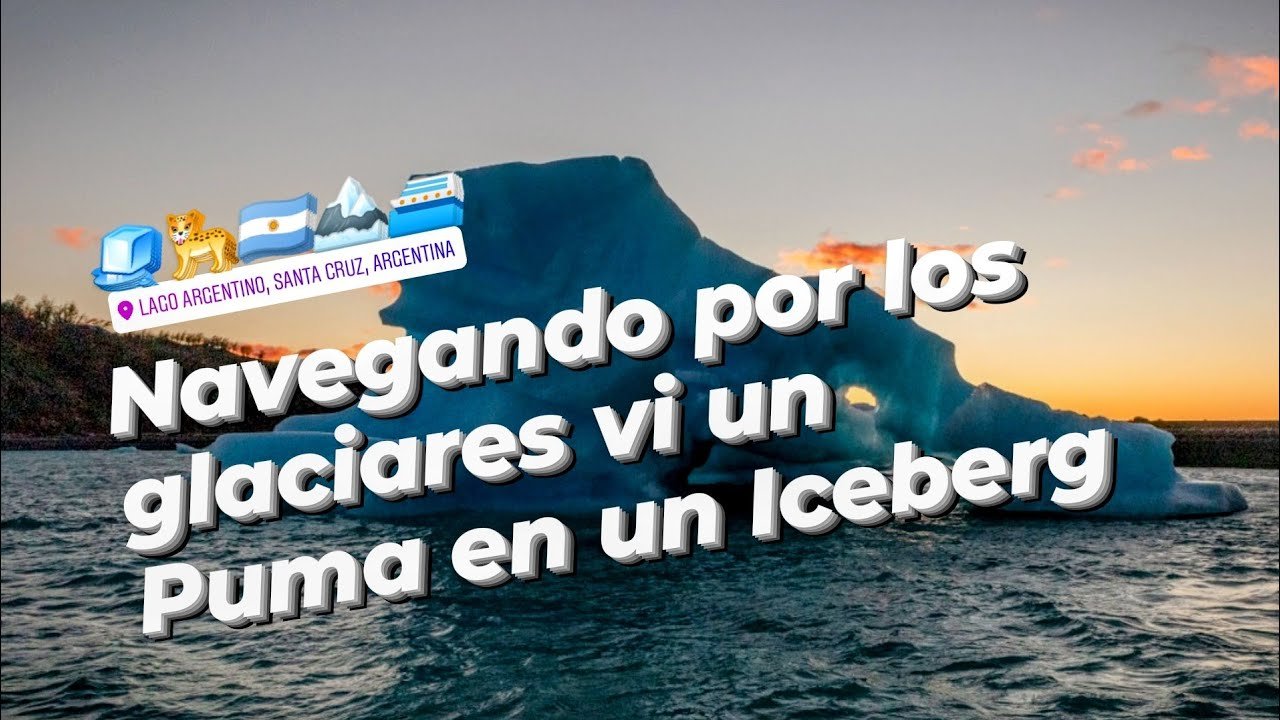 Navegación por los glaciares: el día que vi un puma en un iceberg